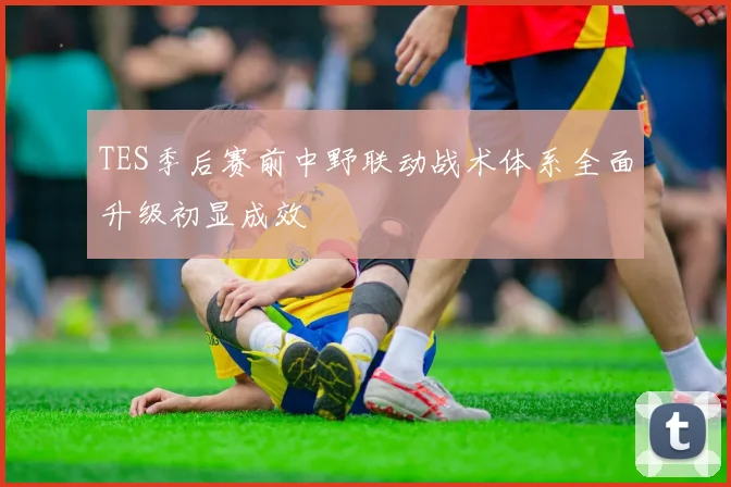TES季后赛前中野联动战术体系全面升级初显成效