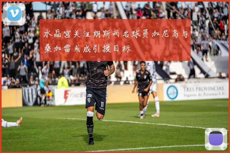 水晶宫关注朗斯两名球员加尼乌与桑加雷或成引援目标